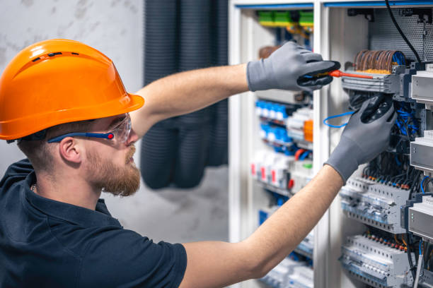 Best Electric Panel Repair  in Red Bud, IL